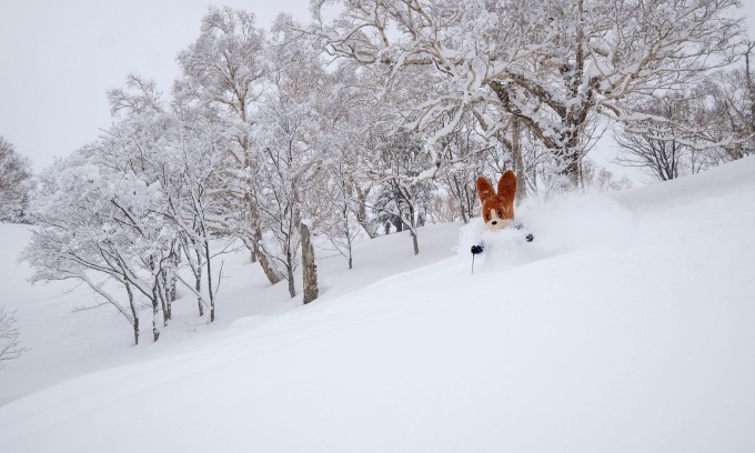 Khu nghỉ dưỡng trượt tuyết Kiroro ở Hokkaido. Ảnh: Powder Snow Hokkaido