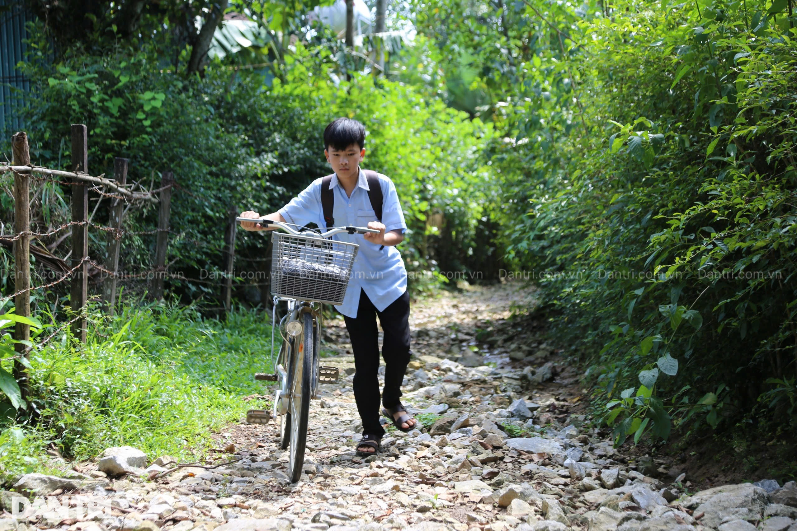 Bà lão 74 tuổi mong một nơi thờ chồng và con dâu, cháu nội có chỗ ở an toàn - 7