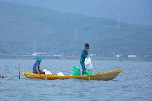 Chìm ghe đánh cá trong đầm An Khê, 2 vợ chồng tử vong