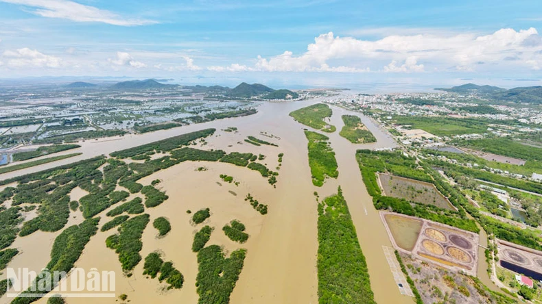 Kiên Giang: Nhiều cán bộ ở Hà Tiên bị đề nghị kiểm điểm do sai phạm về đất đai ảnh 3