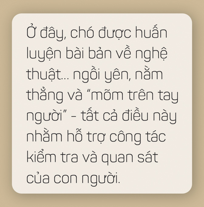 Thức ăn chó mèo: Một thành công khác của ngành tiếp thị - Ảnh 18.