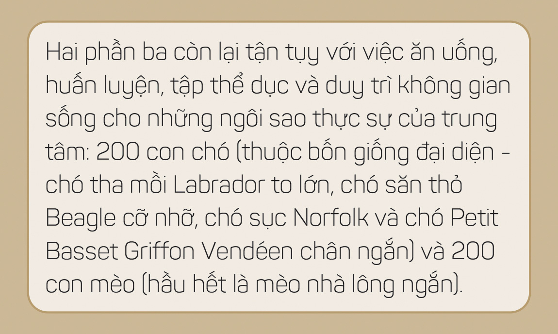 Thức ăn chó mèo: Một thành công khác của ngành tiếp thị - Ảnh 16.