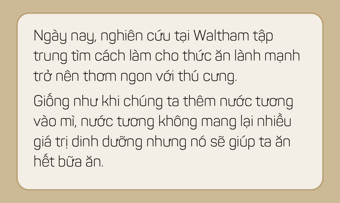 Thức ăn chó mèo: Một thành công khác của ngành tiếp thị - Ảnh 21.