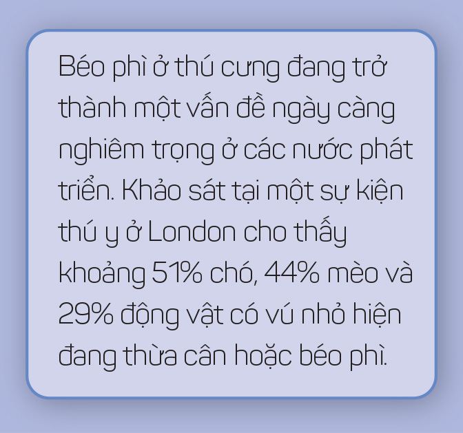 Thức ăn chó mèo: Một thành công khác của ngành tiếp thị - Ảnh 30.