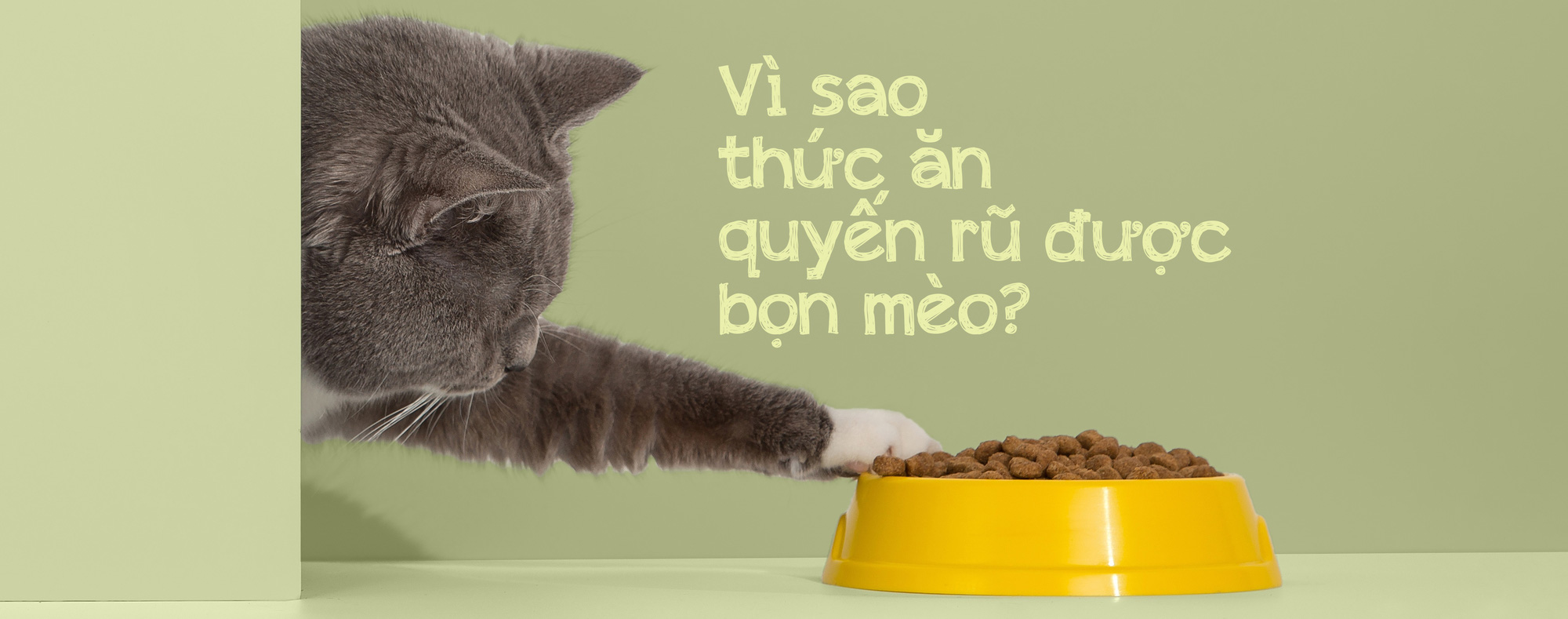 Thức ăn chó mèo: Một thành công khác của ngành tiếp thị - Ảnh 27.