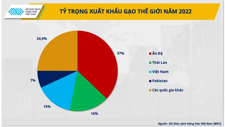 Ấn Độ thúc đẩy xuất khẩu trở lại tác động mạnh đến giá gạo ảnh 2