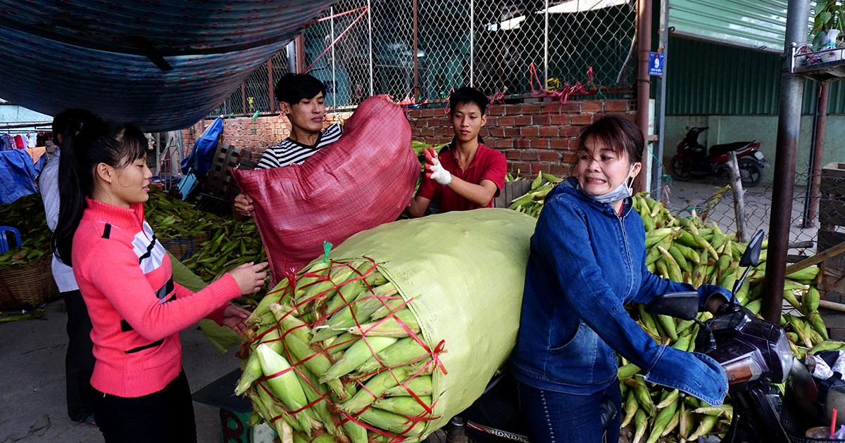 Khu chợ tồn tại 20 năm giữa lòng Sài Gòn: Chỉ bán duy nhất 1 mặt hàng nhưng lúc nào cũng đông nghịt khách - 5