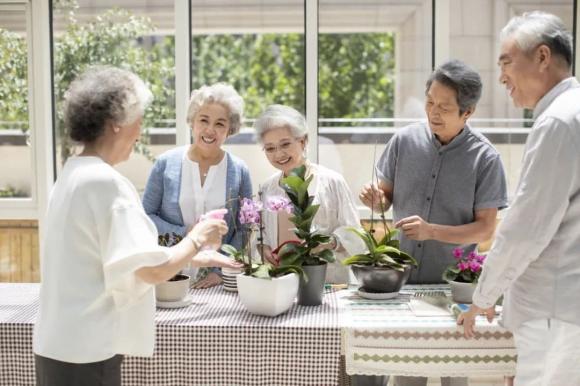 chăm sóc người già, chăm sóc người già kiểu chim di cư, chăm sóc hưu trí kiểu chim di cư, nghỉ hưu