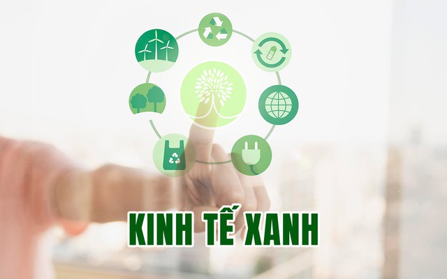 Báo Người Lao Động ra mắt chuyên trang KINH TẾ XANH và chuyên mục NET ZERO- Ảnh 1.