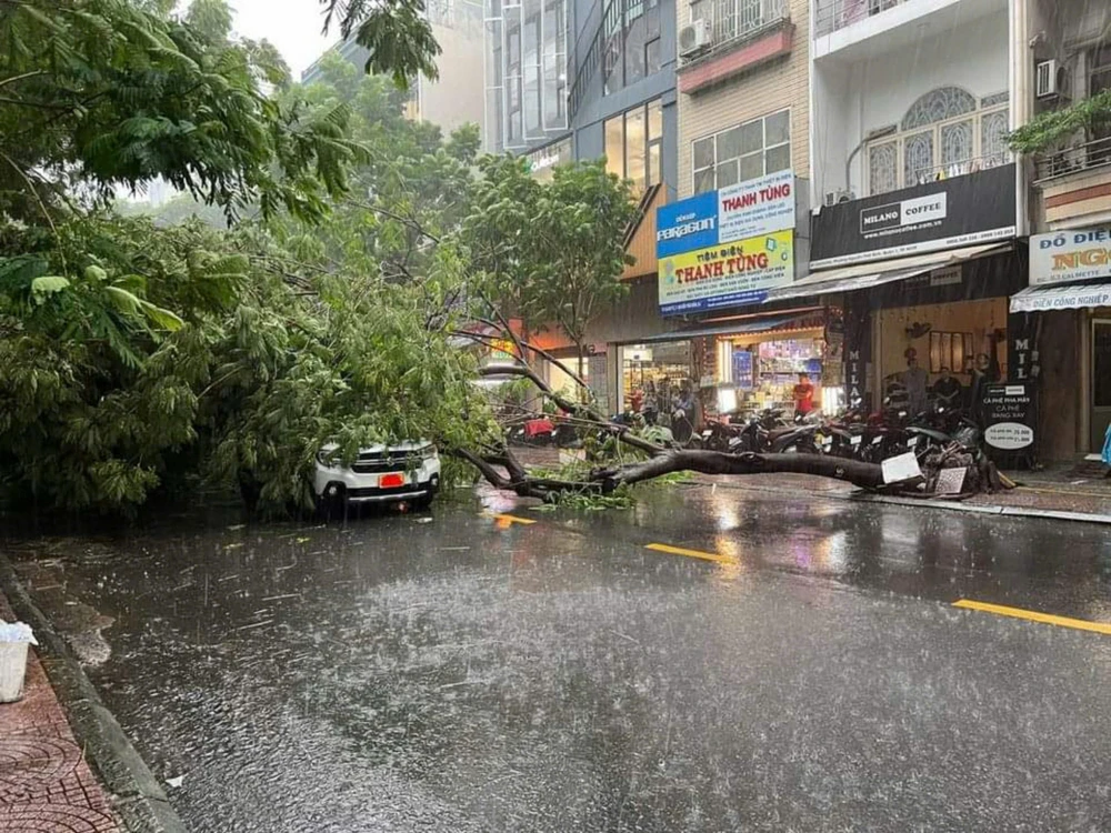 TP.HCM đưa ra giải pháp ứng phó với bão số 3