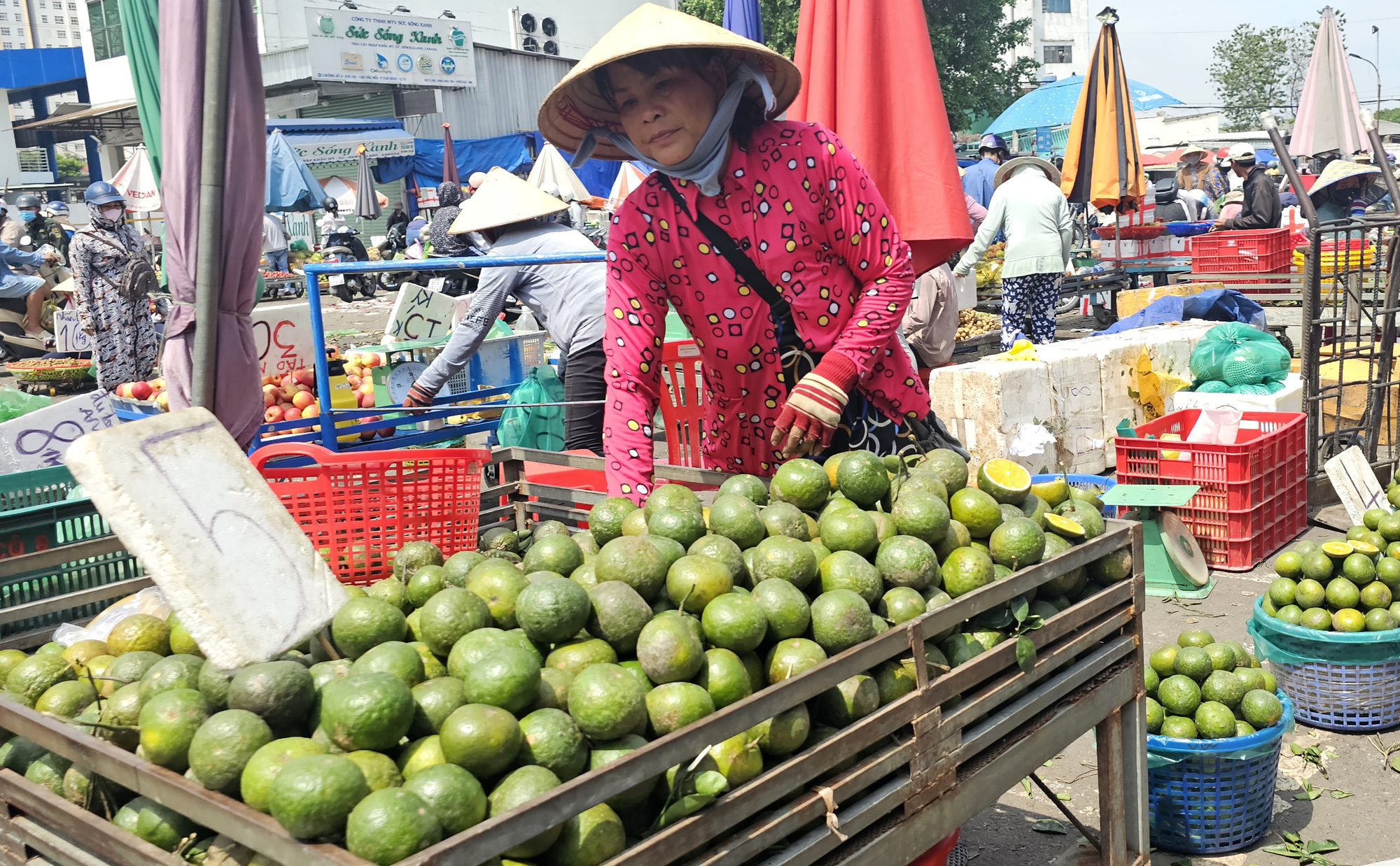 Ký cam sành chỉ bằng ly trà đá, siêu thị tăng tiêu thụ - Ảnh 1.