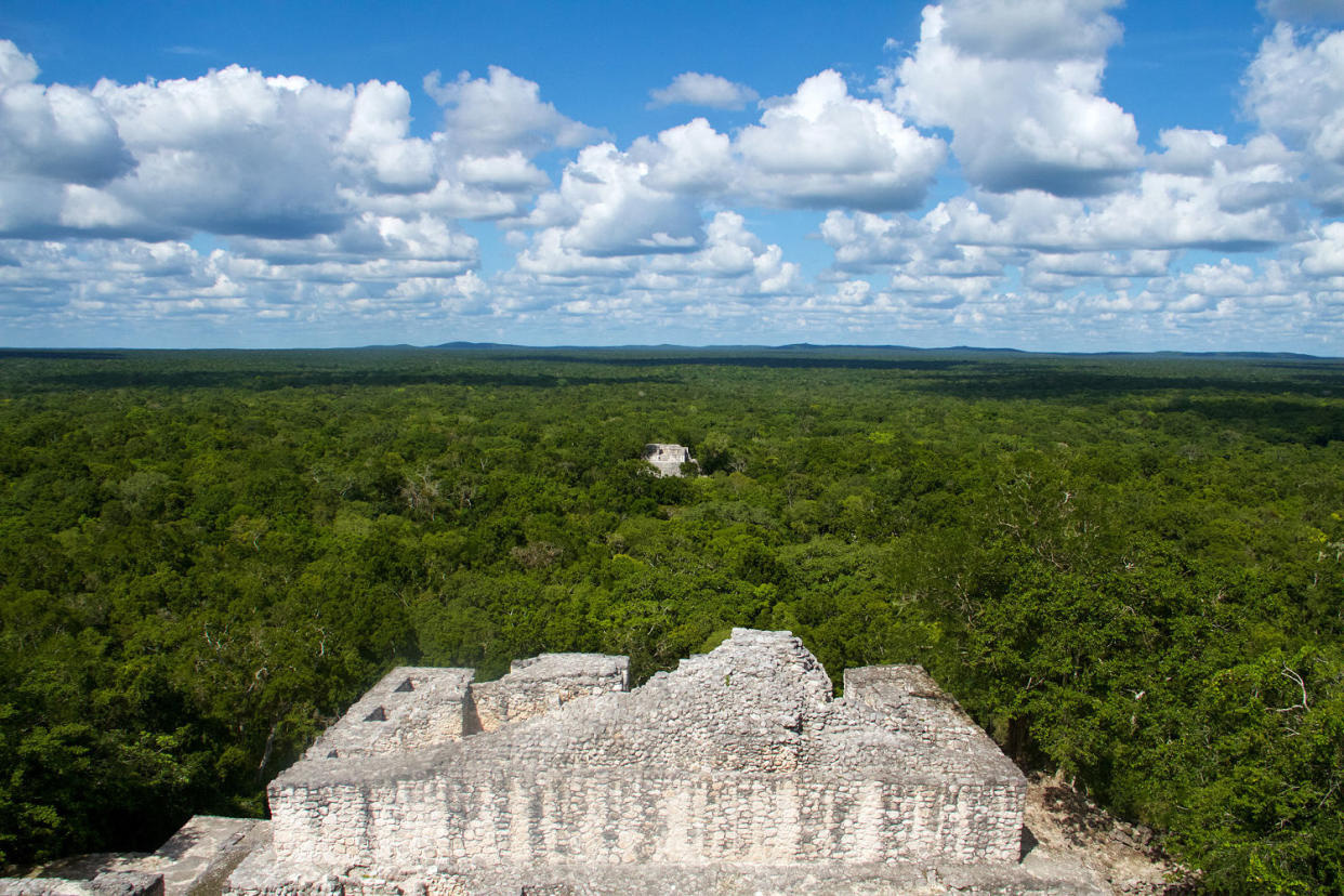 Thành phố cổ Maya được tìm thấy trong rừng rậm Mexico  - Ảnh 1.