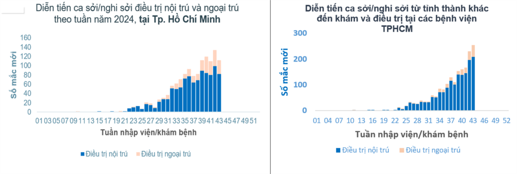 Trẻ dưới 9 tháng tuổi mắc sởi có dấu hiệu tăng, Sở Y tế TPHCM gửi kiến nghị - 1