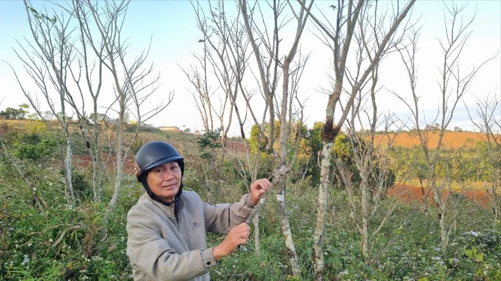 yêu cầu bồi thường 1.jpg