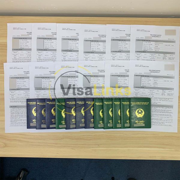 Visalinks - Đơn vị tư vấn visa Hàn Quốc uy tín, chuyên nghiệp tại TP.HCM - Ảnh 2.