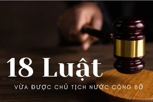 Infographic: 18 Luật vừa được Chủ tịch nước công bố 