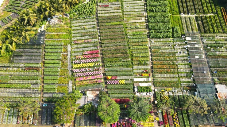 Một góc làng hoa Sa Đéc những ngày cận Tết Nguyên đán.