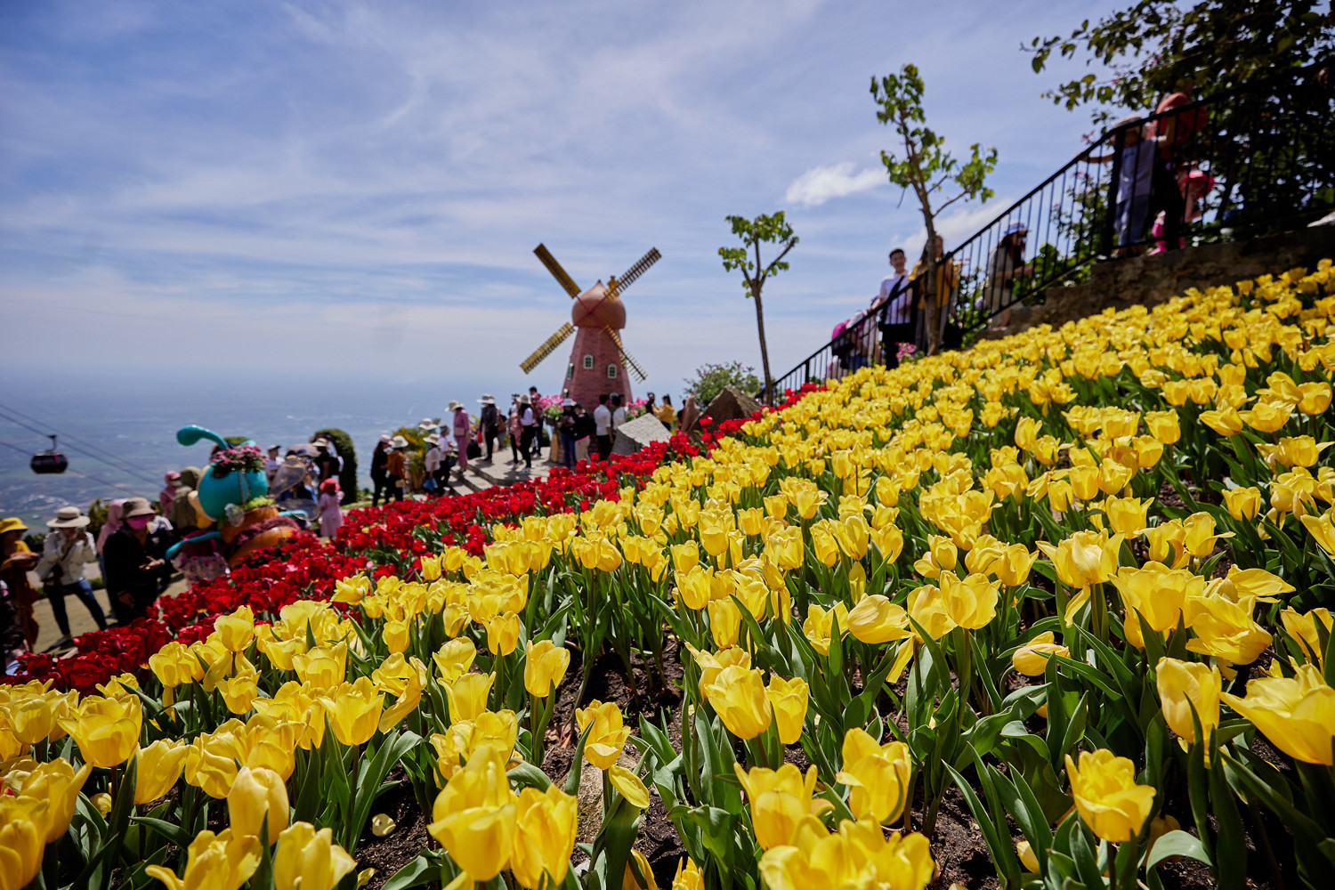 15.000 bông tulip với 8 màu được trồng và chăm sóc, thay mới liên tục sẽ mang đến cho du khách không gian check-in sống ảo tuyệt đẹp và trải nghiệm mới lạ đầu xuân tại núi Bà Đen. Ảnh: Sun World