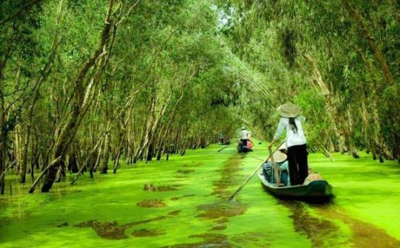 sông cắt đôi rừng, Cà Mau