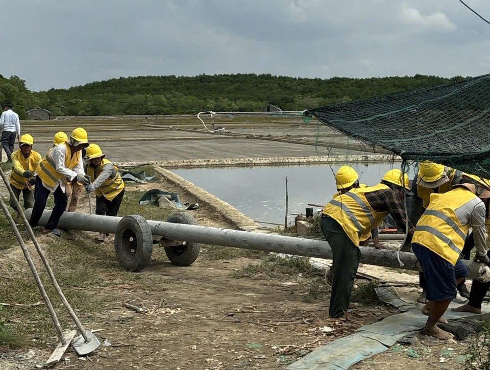 Tin vui giáp tết Ất Tỵ, toàn bộ xã đảo Thạnh An xài lưới điện quốc gia - Ảnh 2.