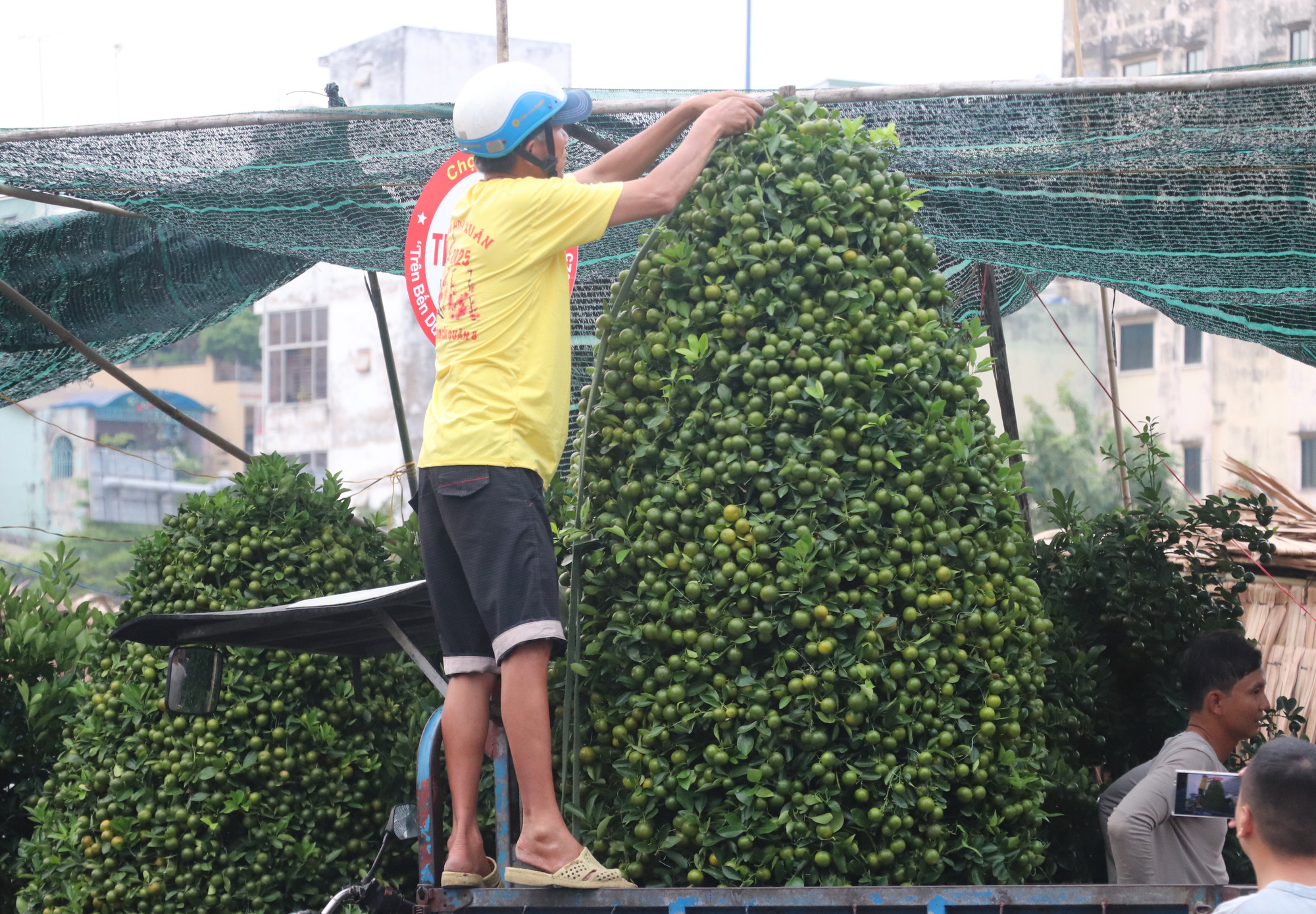 Người người đổ về chợ hoa xuân Bình Đông: Hoa trái ngập tràn, chỉ lo thiếu người mua - Ảnh 5.