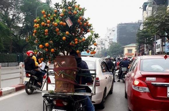 Tết, công việc dịp Tết, làm gì kiếm tiền tết 