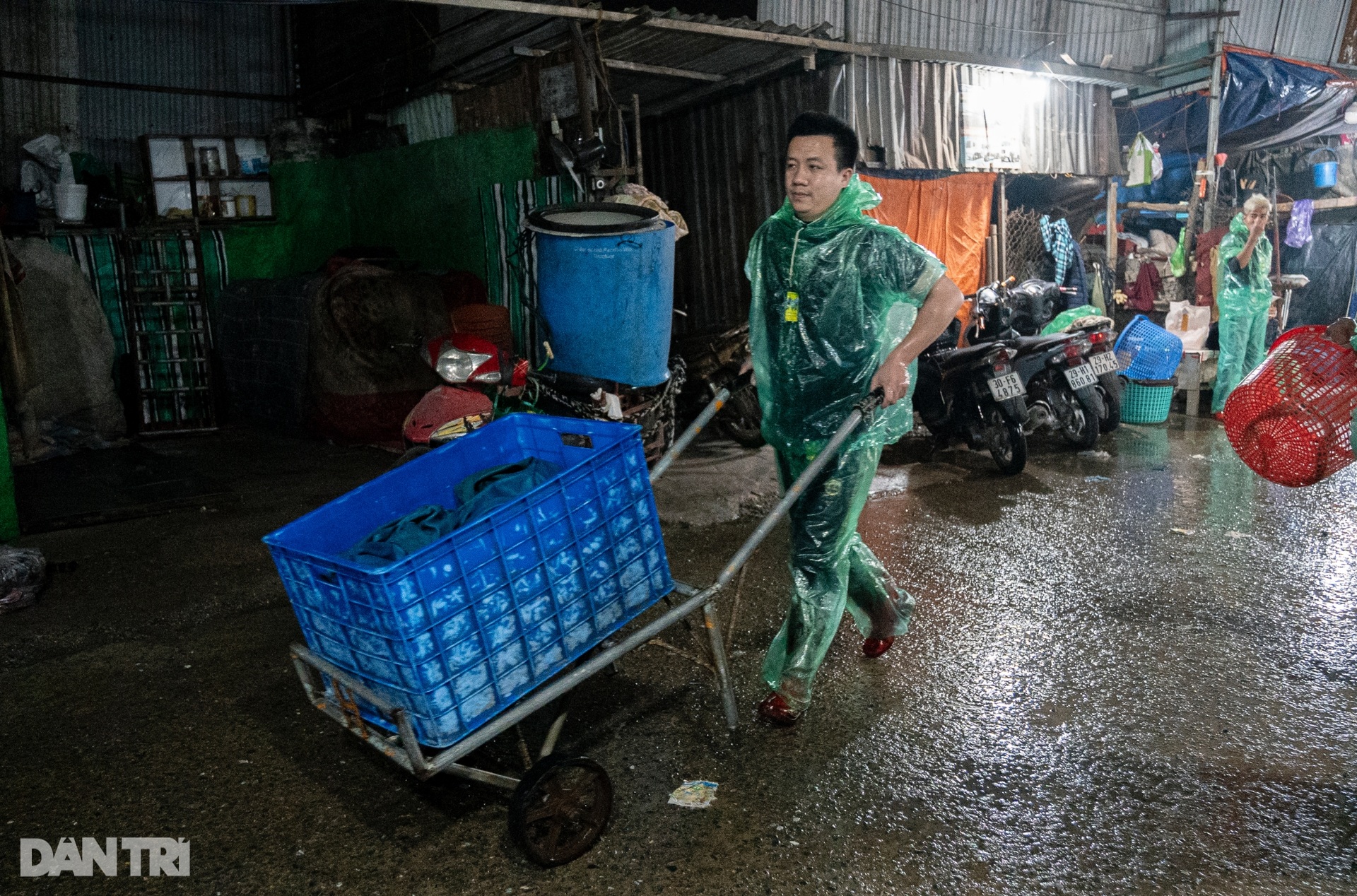 Cá chép đỏ đắt gấp 5 lần, tiểu thương cháy hàng ngày Tết ông Táo - 9