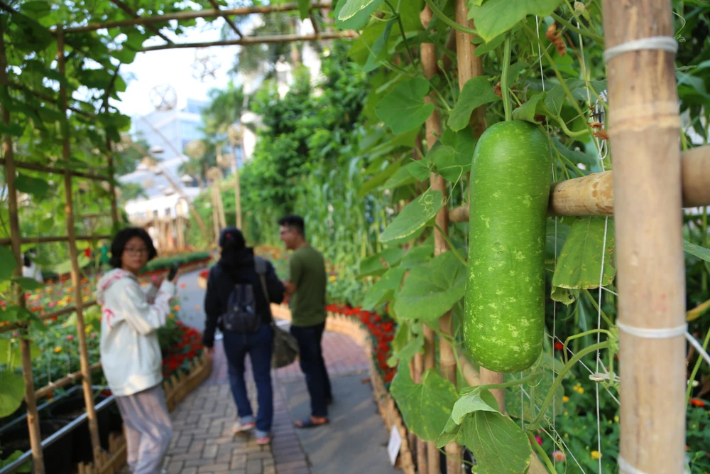 Đường hoa Phú Mỹ Hưng