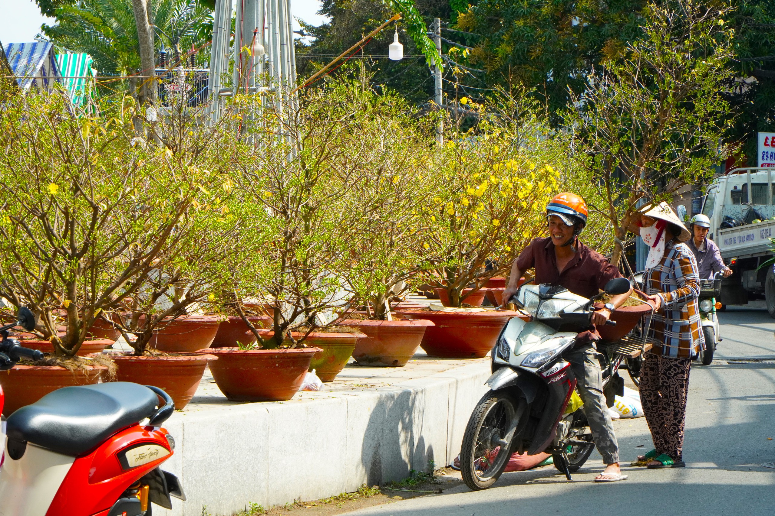 Chợ hoa tết Cần Thơ đỏ mắt kiếm mai 'nhà giàu'- Ảnh 5.