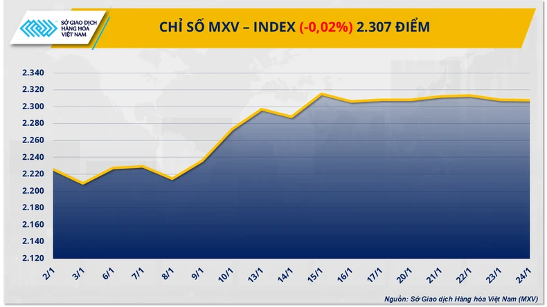 Giá cà-phê Arabica “chọc thủng” mốc 7.600 USD/tấn, gần chạm mức lịch sử ảnh 2