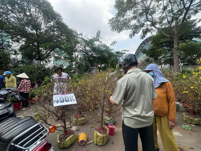 Mai đồng giá 400.000 đồng mỗi cây trưa 29 Tết trên đường Thành Thái, quận 10. Ảnh: Dỹ Tùng