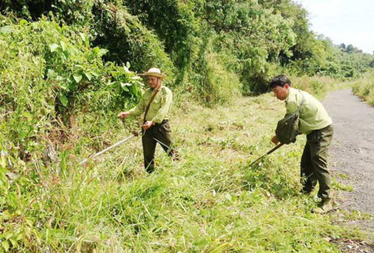 Phòng canh lửa, giữ rừng Phú Quốc ngày Tết - Ảnh 9.