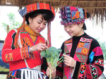 Lạ kỳ phong tục ăn trộm vào đầu năm của tộc người ở vùng cao Đông Bắc, chỉ lén lút đi một mình