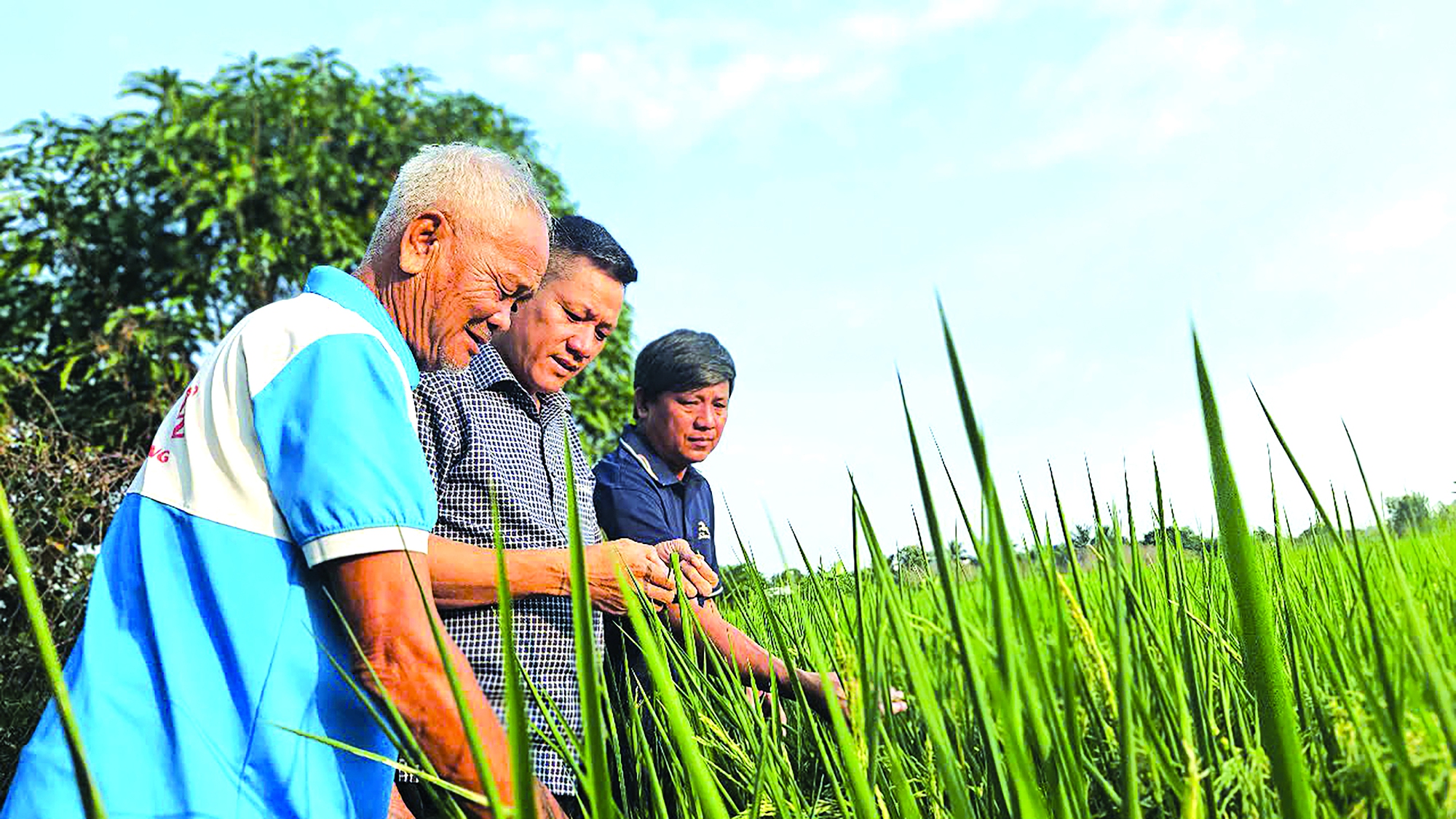 Hinh cho bai viet ve cong ty ABZ - Linh Dan.jpg