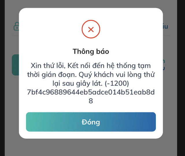 Cận Tết, khách than chuyển khoản, thanh toán online trục trặc- Ảnh 1.