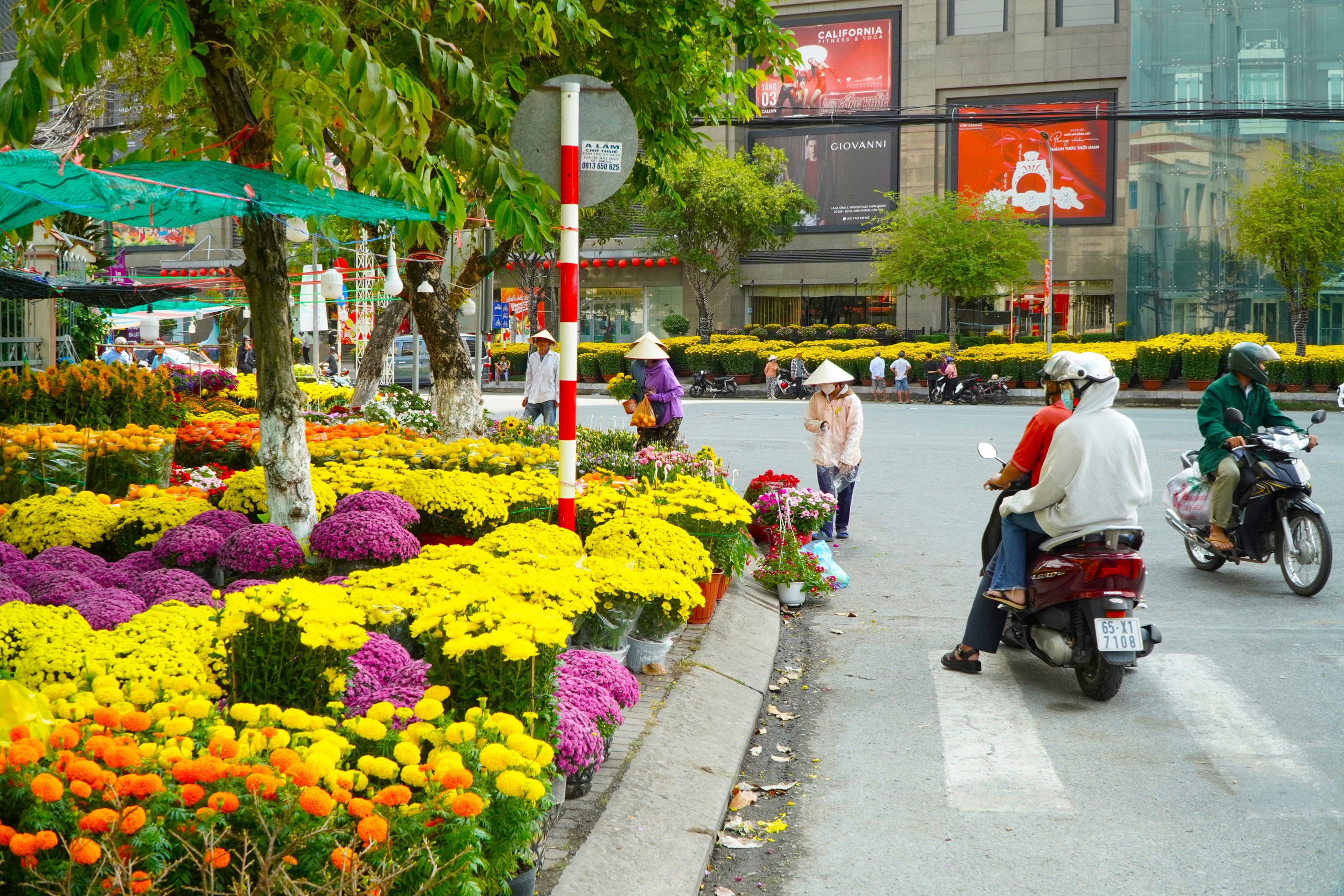 Chợ hoa tết Cần Thơ đỏ mắt kiếm mai 'nhà giàu'- Ảnh 1.