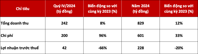 Chi tiết chỉ tiêu của DNSE trong năm 2024, so với năm 2023. Nguồn: DNSE