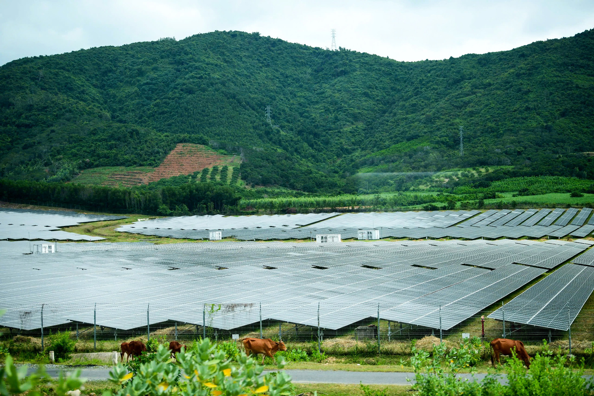 Điện tái tạo 'dính' thanh tra, vẫn chờ tháo gỡ - Ảnh 1.