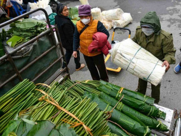 Giữa lòng Thủ đô có khu chợ lâu năm cực sầm uất dịp Tết, chỉ bán duy nhất một món hàng khách vẫn nườm nượp