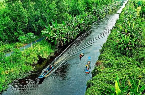 sông cắt đôi rừng, Cà Mau