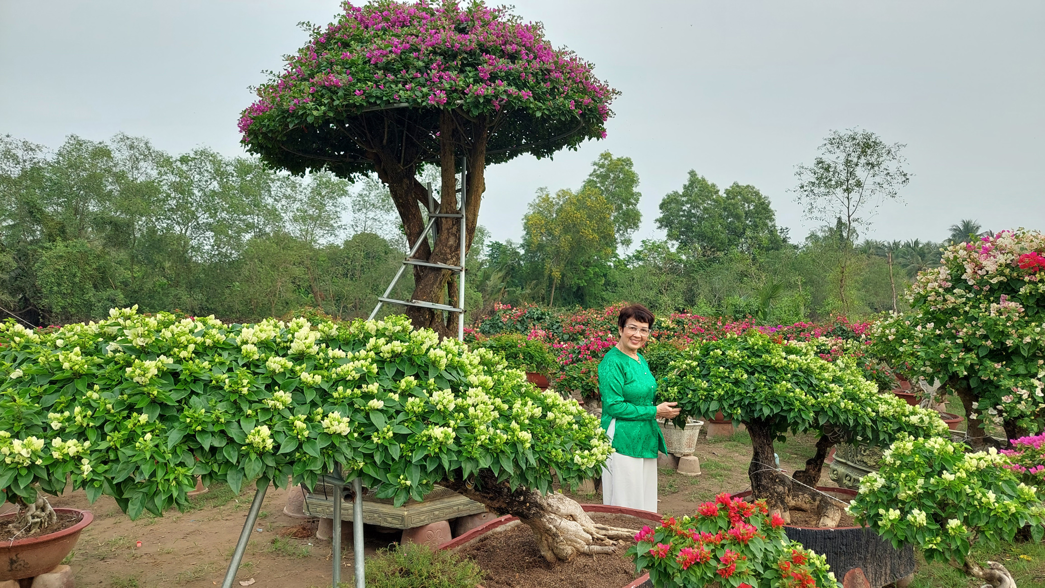 Du xuân sớm ở 