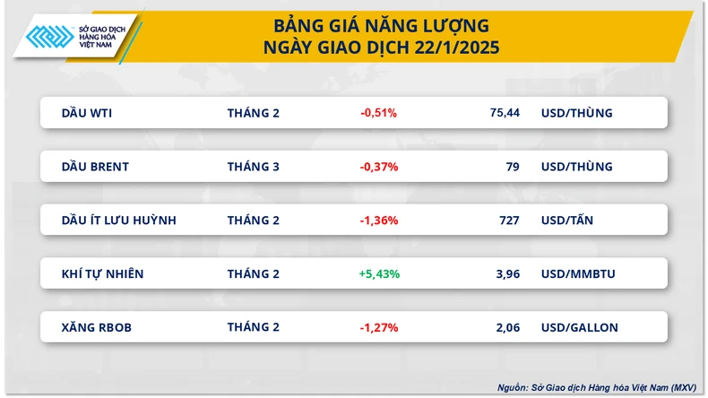 Giá dầu thô thế giới trượt nhẹ, giá khí đốt tăng vọt ảnh 1