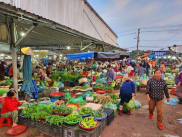 Giữa lòng xứ Huế có khu chợ đầu mối lớn nhất thành phố, còn được gọi là phiên chợ đặc biệt vì 1 lý do