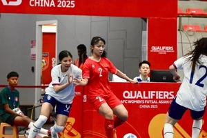 Tuyển Việt Nam làm gì sau khi đoạt vé Asian Cup 2025