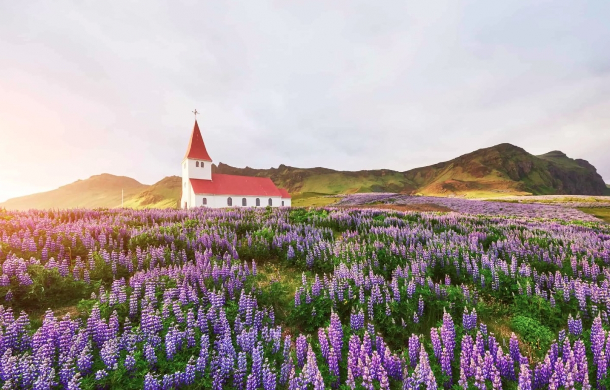 Iceland: Hạnh phúc là không ai bị bỏ lại phía sau và sống tích cực- Ảnh 1.