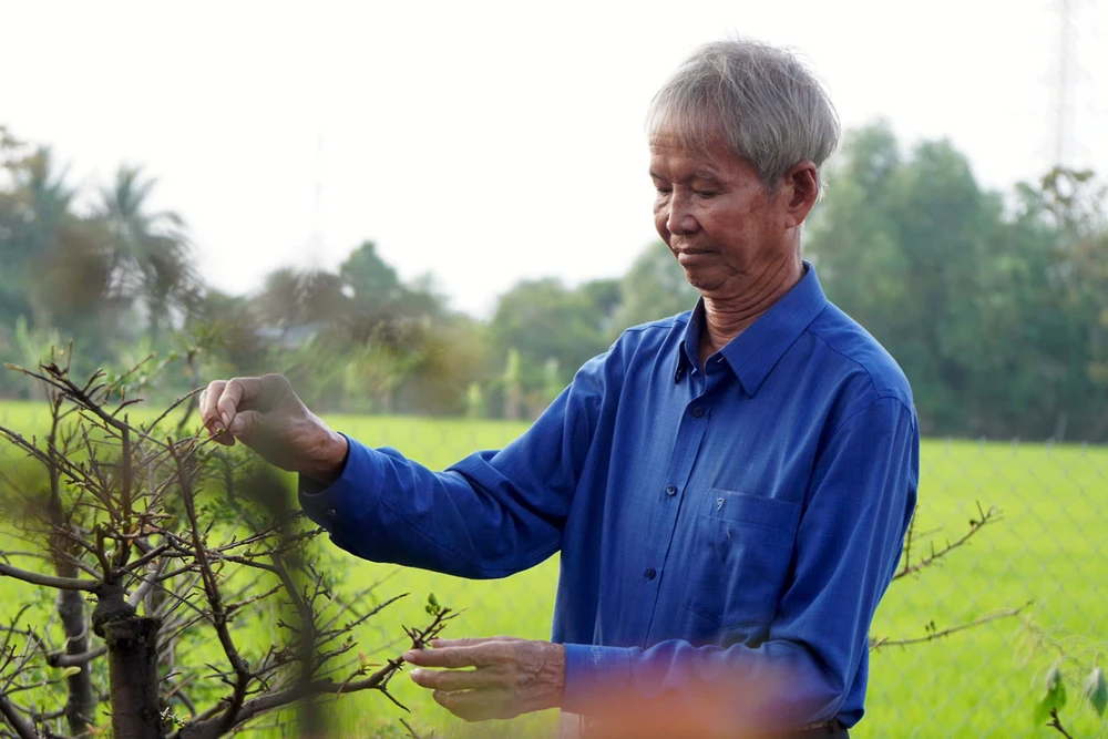 Niềm vui đón Tết