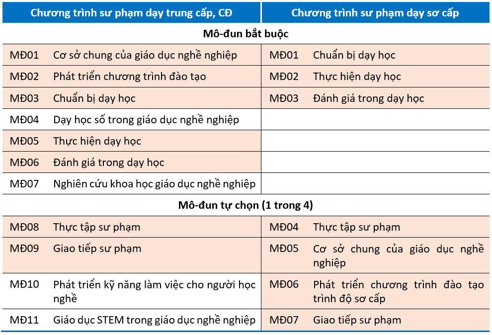 Thay đổi tiêu chuẩn giáo viên dạy thực hành lái xe: Cao hay thấp hơn? - Ảnh 2.