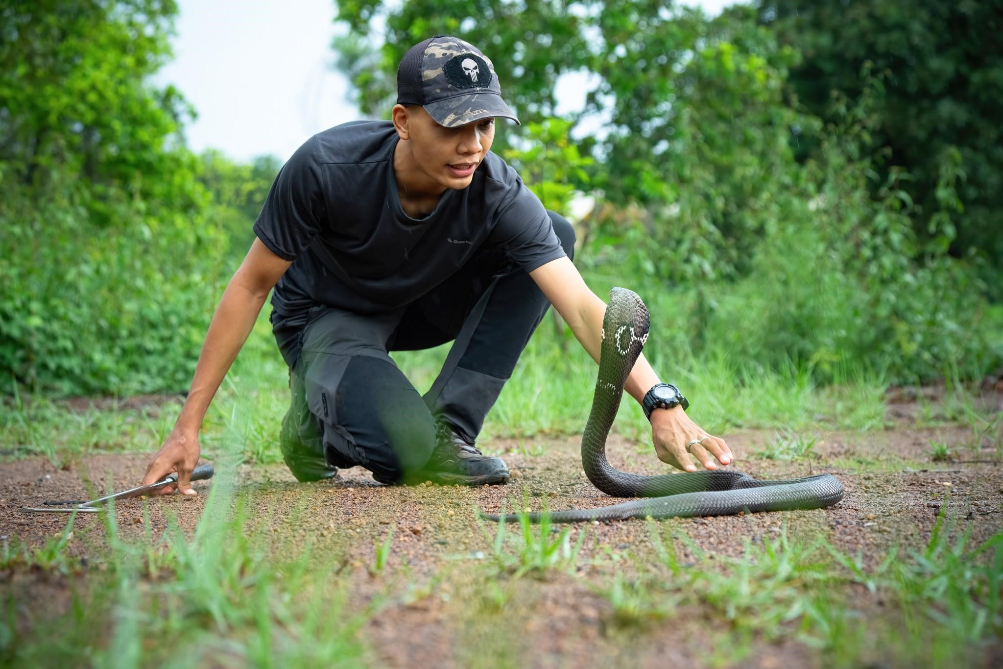 Những tình nguyện viên vì sự an toàn của người và rắn- Ảnh 4.