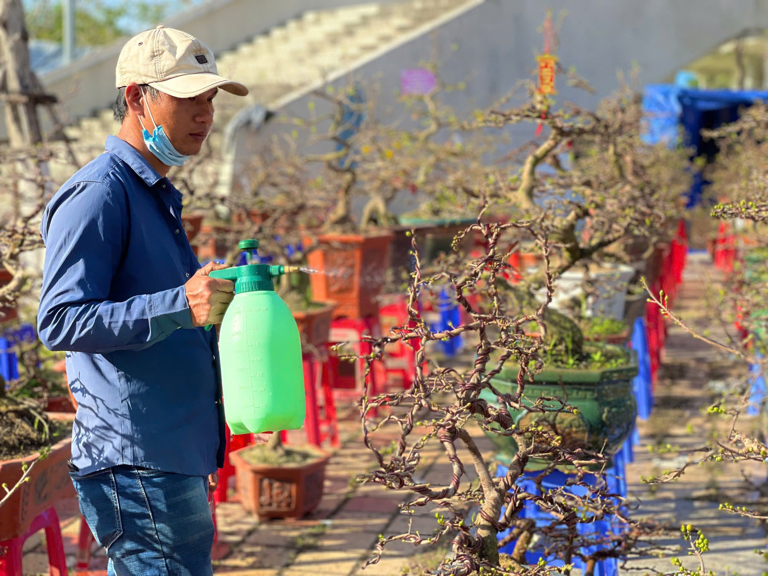 Người bán nhiều hơn khách mua, tiểu thương chợ hoa Đà Nẵng lo mất Tết- Ảnh 11.