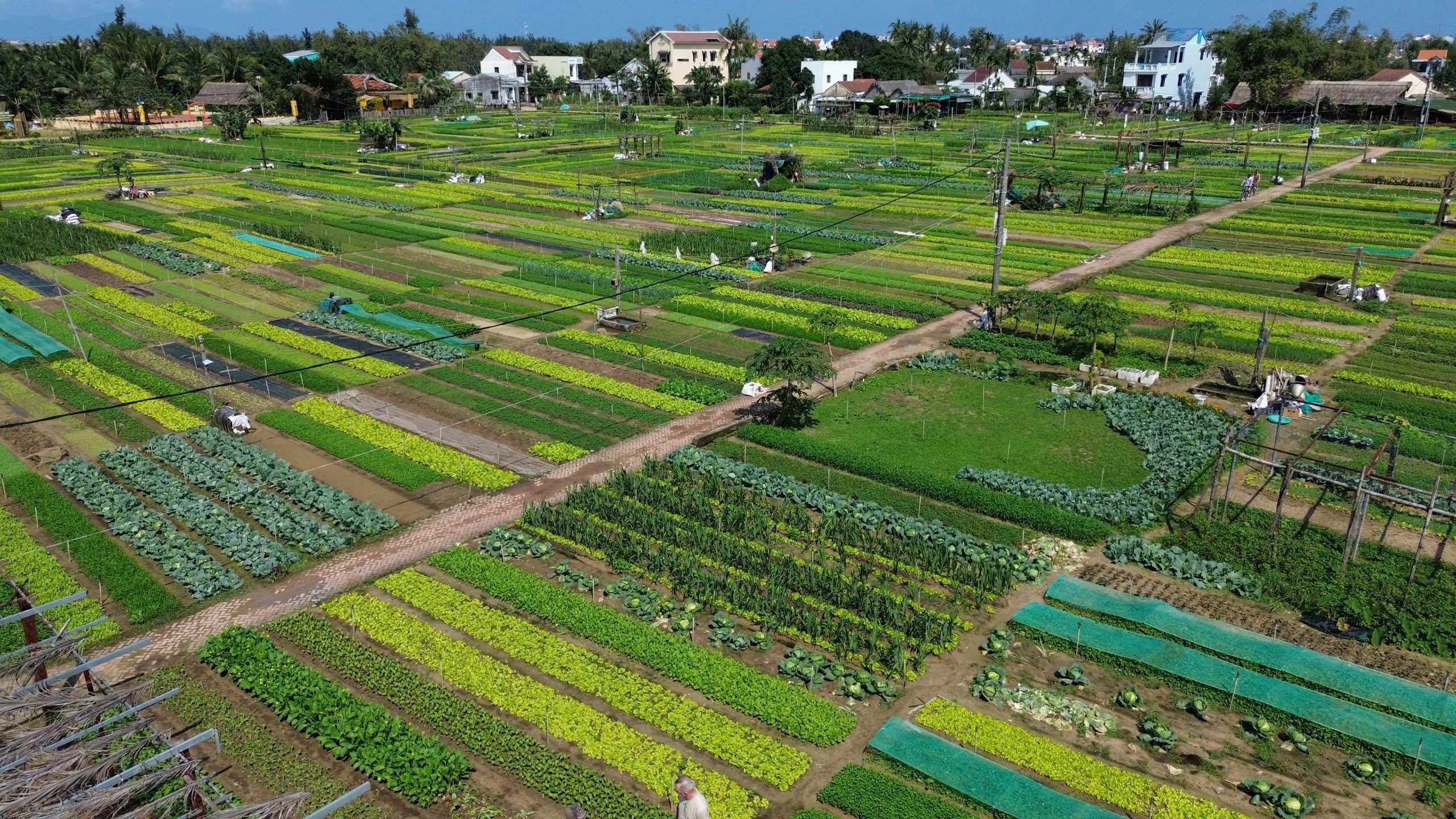 “Làng du lịch tốt nhất” thế giới có gì khiến du khách mê mẩn?- Ảnh 2.